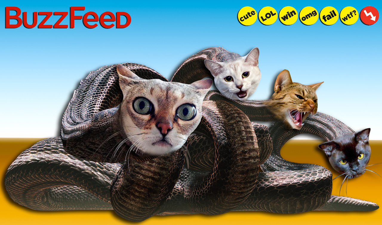 Buzzfeed-tetes-chatons-hydre